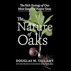 The audiobook cover of "The Nature of Oaks"