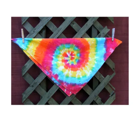 A rainbow tie dye bandana is hanging up. 