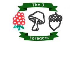 The logo for The Three Foragers 