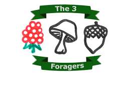 The logo for The Three Foragers 